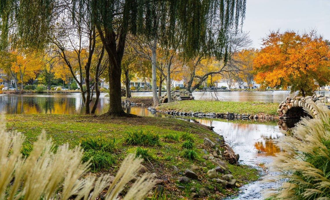 Pre-Owned & Certified Pre-Owned Vehicles Near Huntington, NY